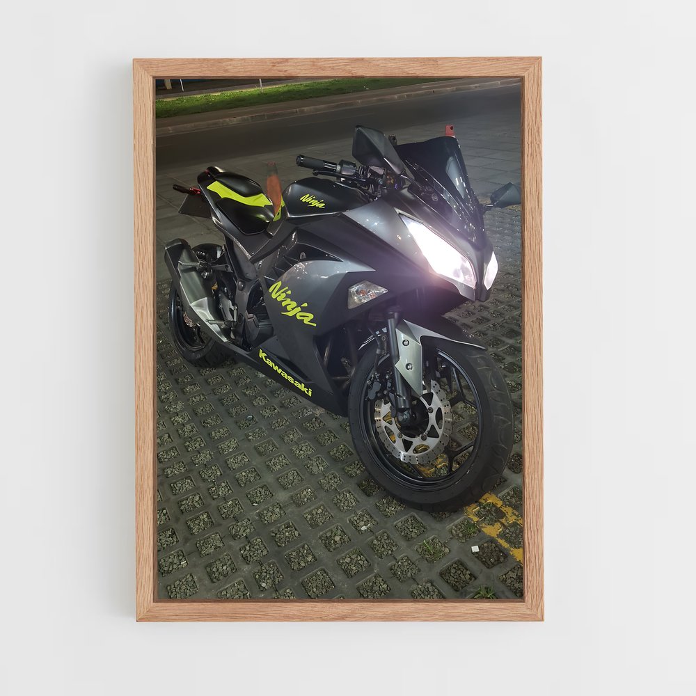 Poster Nuit de Moto (vue 4)